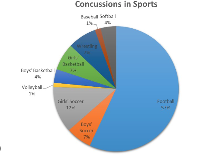 Concussions in Youth Sports